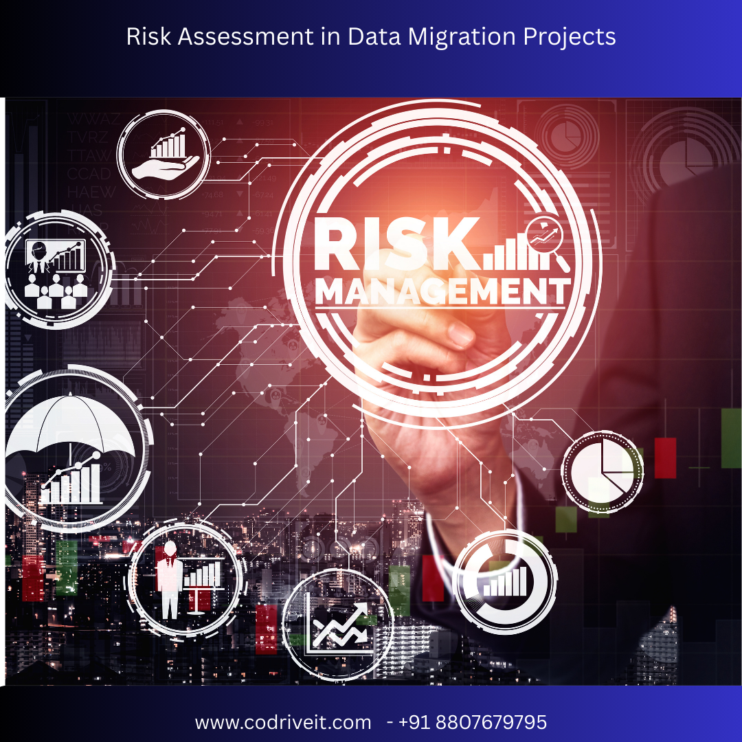 Risk Assessment in Data Migration Projects
