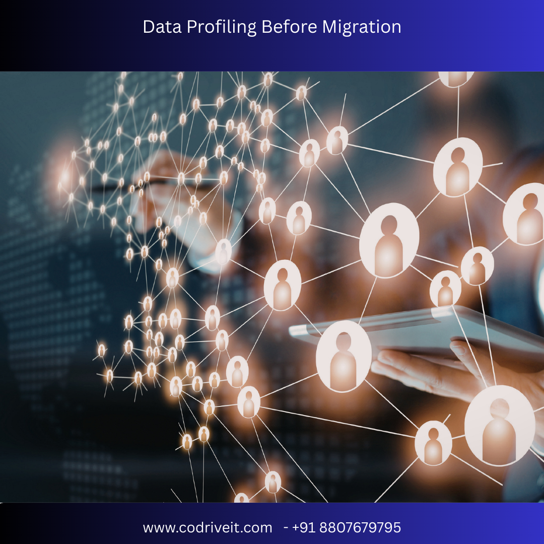 Data Profiling Before Migration