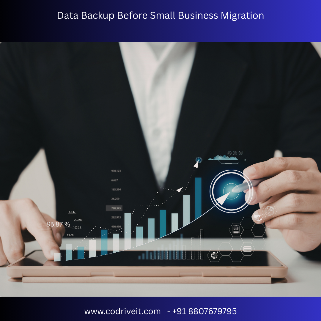 Data Backup Before Small Business Migration